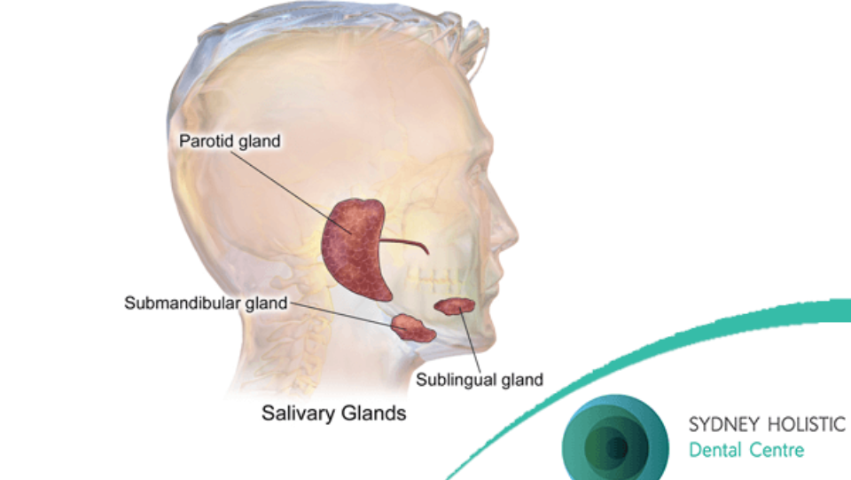 The importance of saliva in protecting your oral health