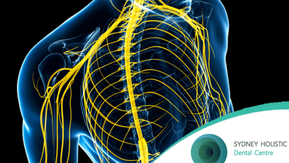 The mouth and the nervous system