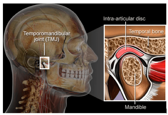 TMJ