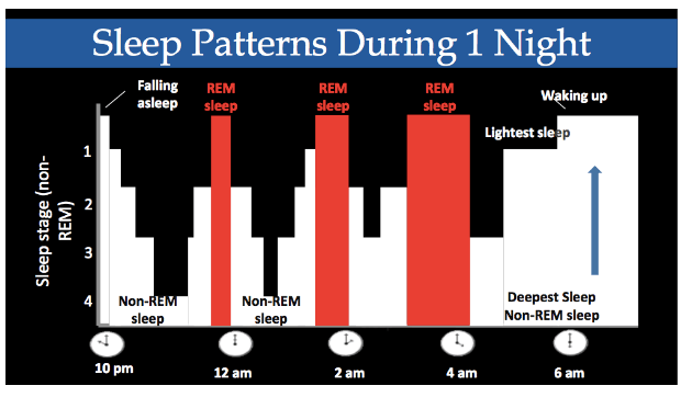 Sleep Cycle