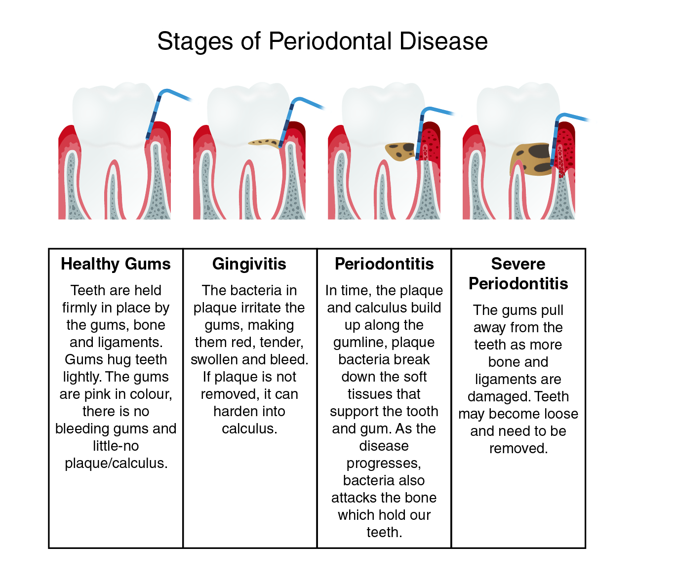 Dental Hygiene &#038; Therapy