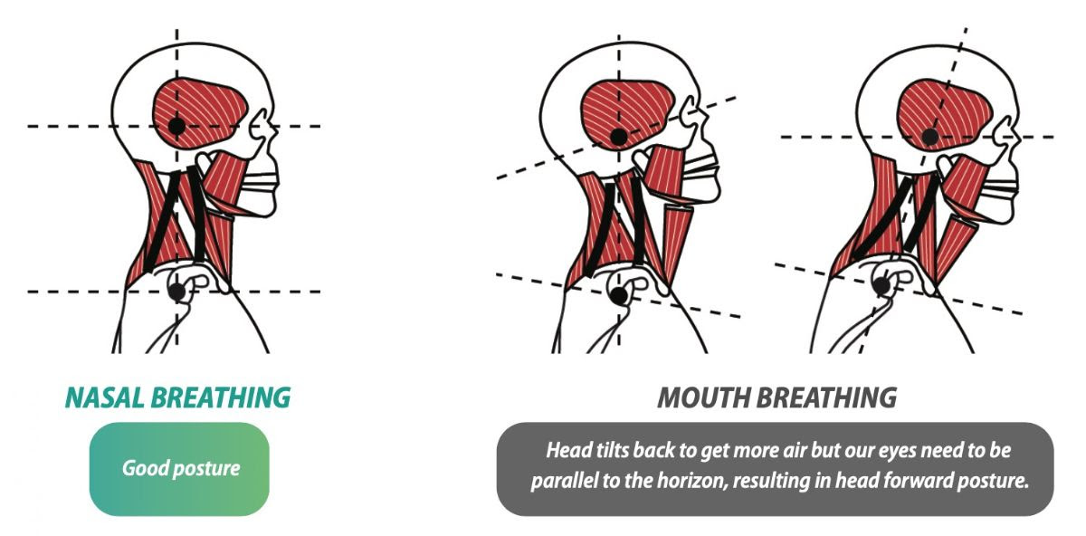 ‘How’ you breathe impacts your health