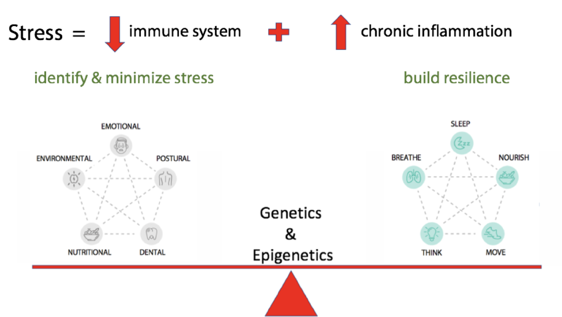 Holistic Health Model