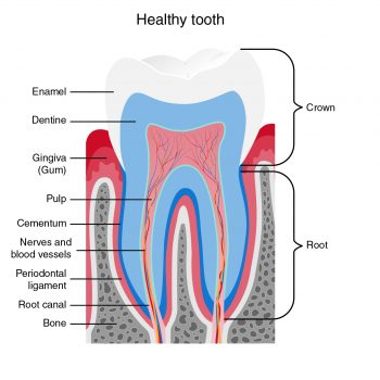 Root Canal Treatment