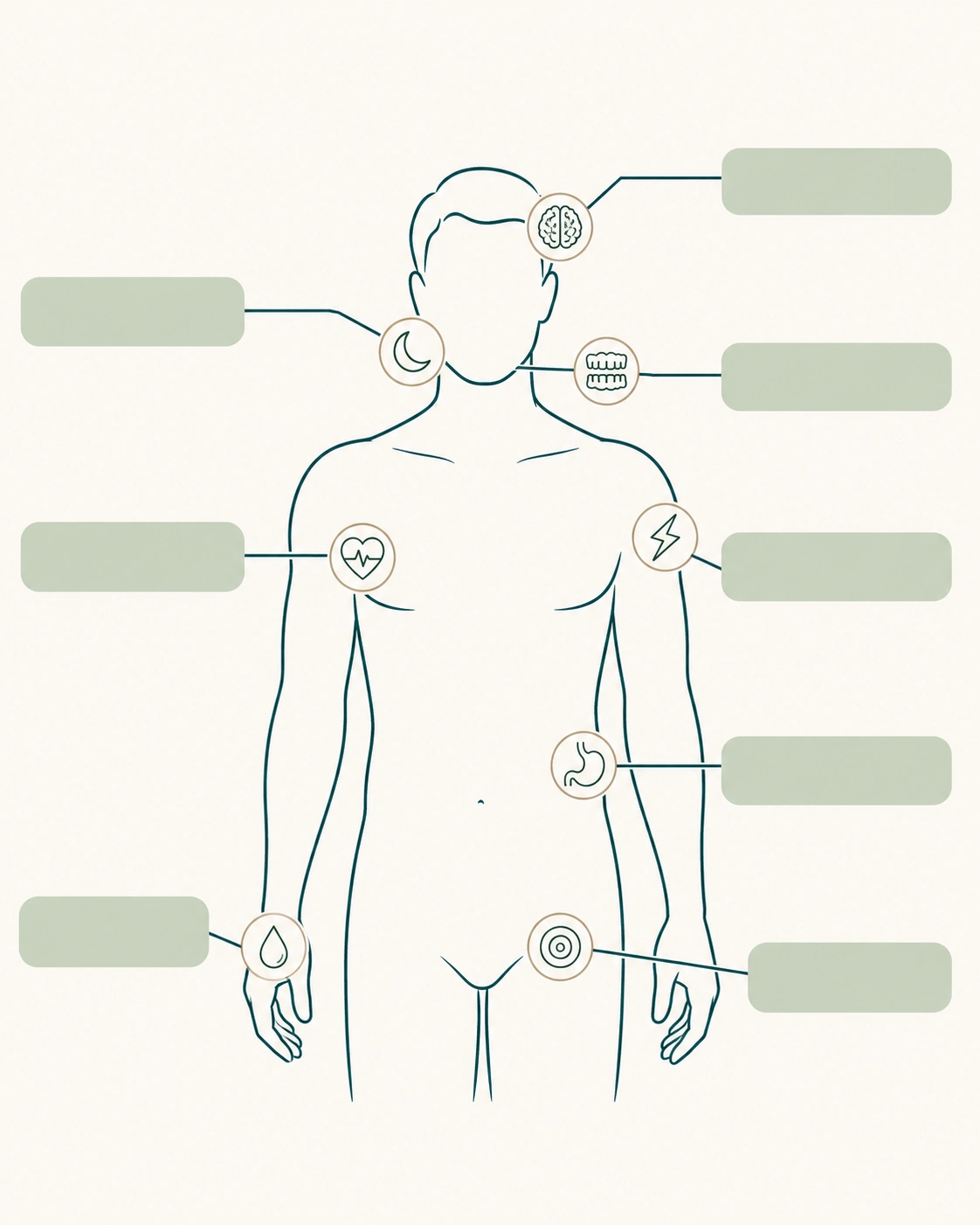 Body map showing signs of an overactive sympathetic nervous system including racing heart, broken sleep, jaw clenching, dry mouth and digestive upset