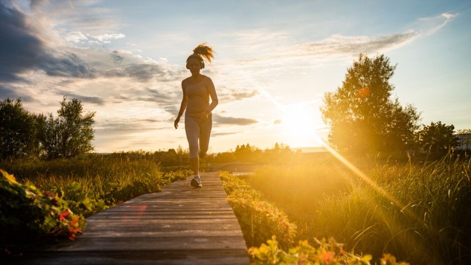 Summer Holistic Health Guide