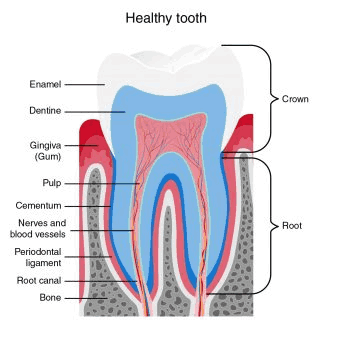 root canal treatment