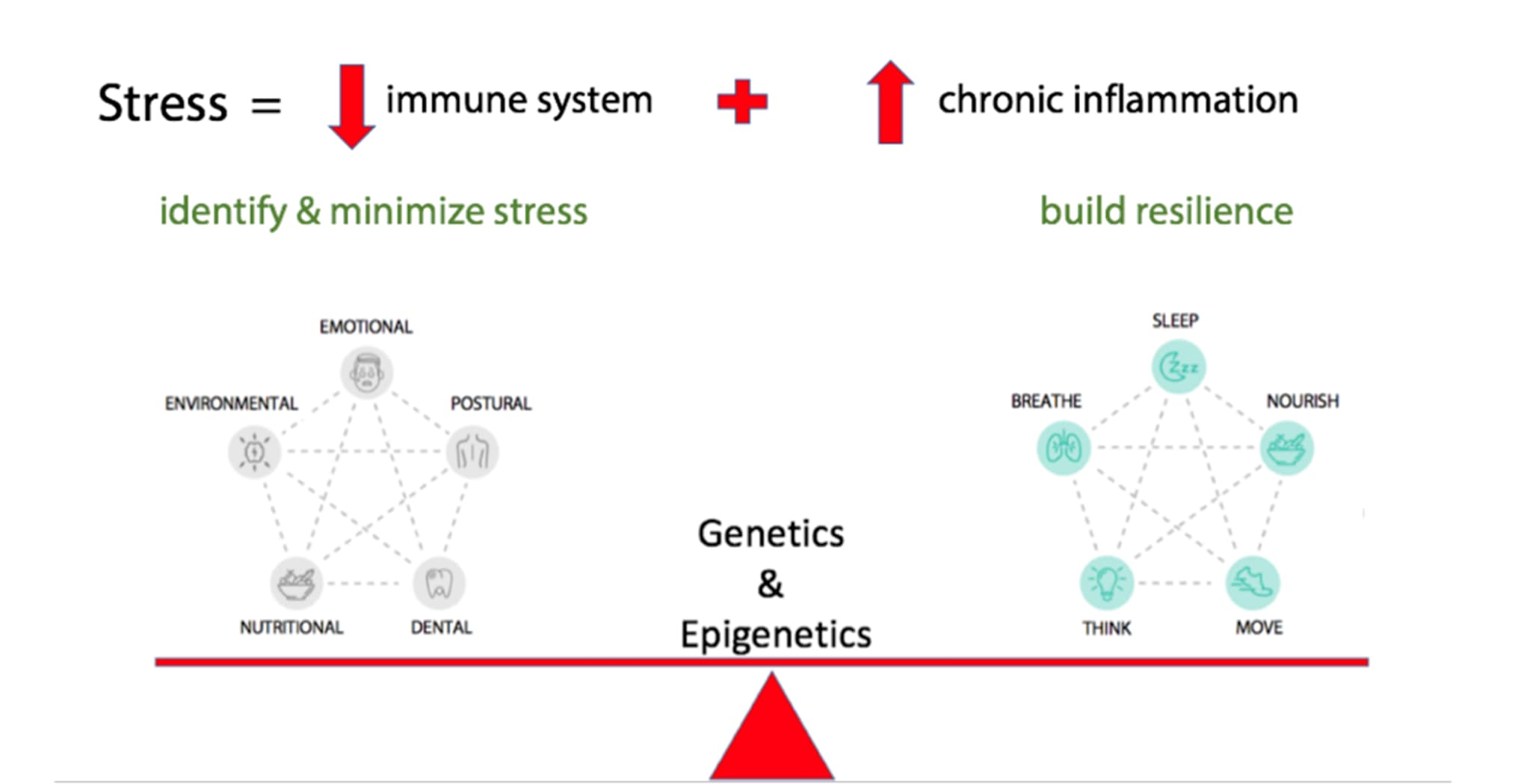 holistic health