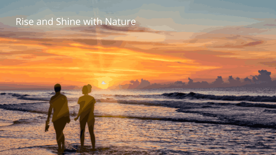 rise and shine with nature