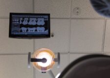 Dental Patient View